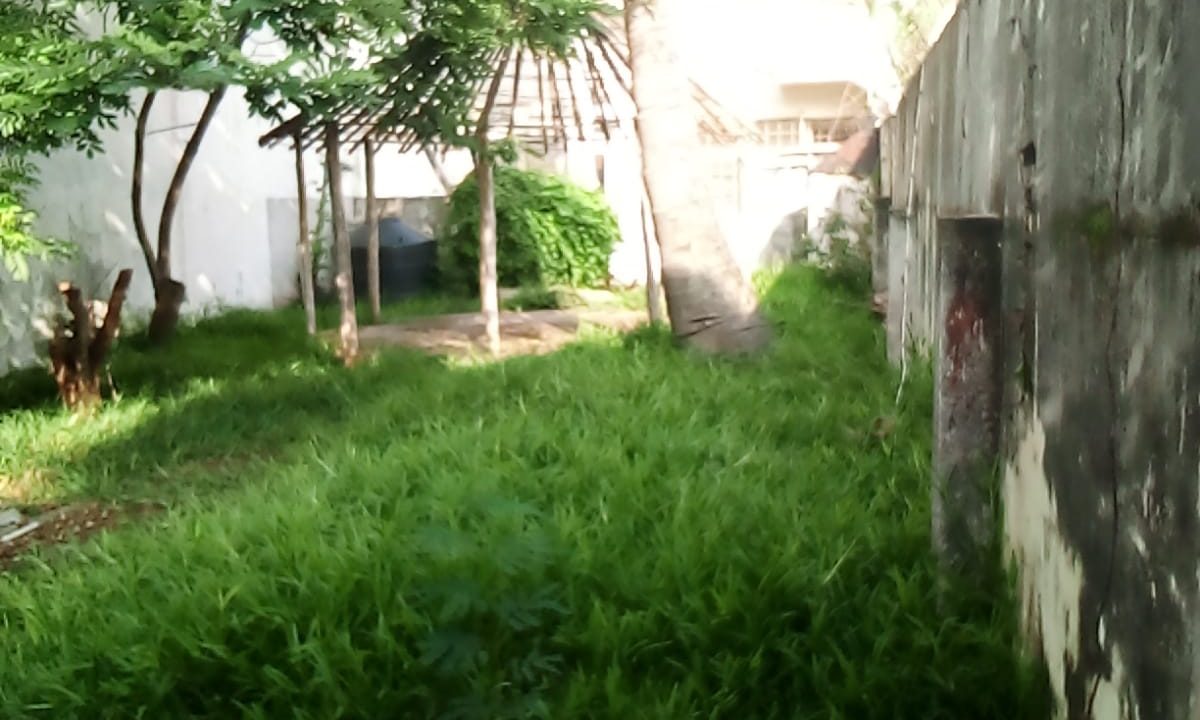 1002463191