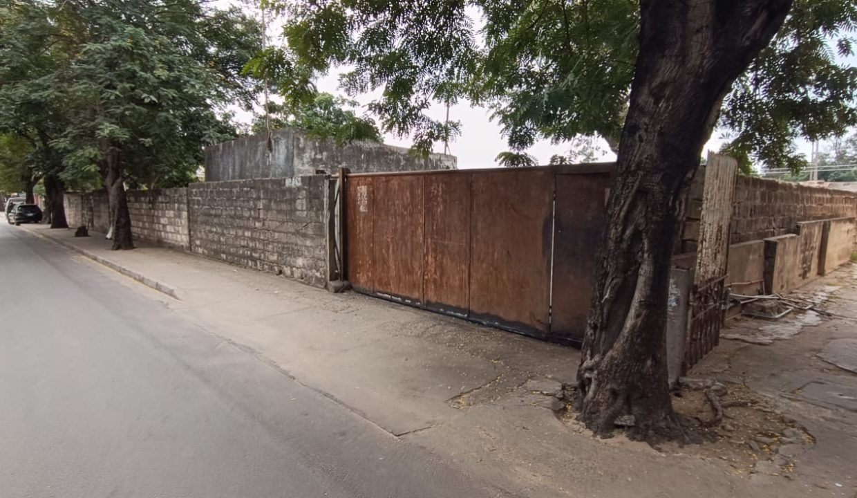 1004388681